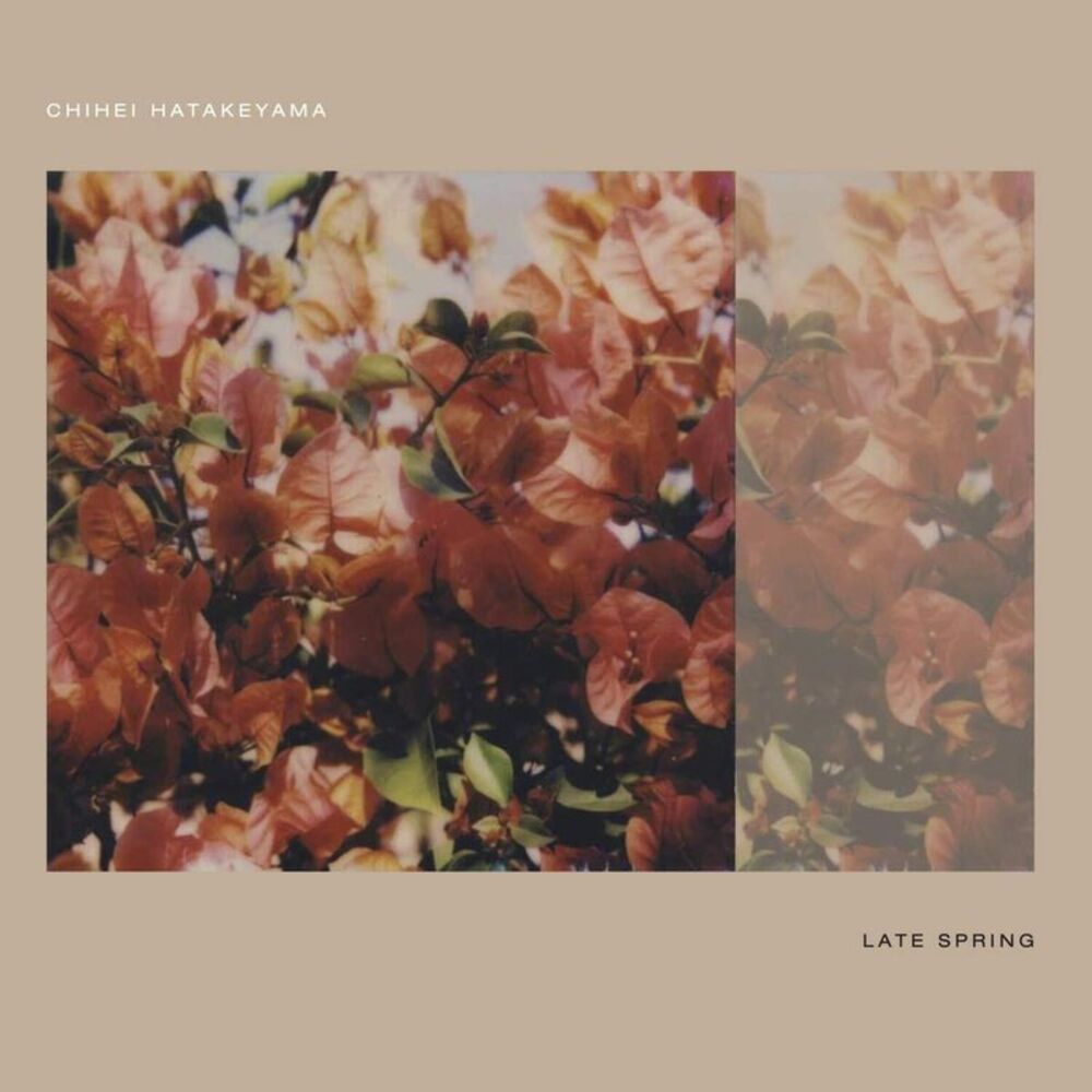 Chihei Hatakeyama - Late Spring  CD